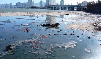 Xác minh nguồn nước thải đen kịt chảy ra biển Nha Trang
