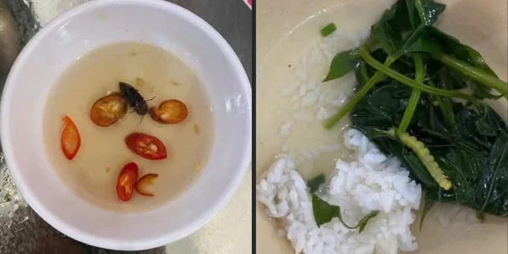 Xác minh thông tin thức ăn của sinh viên ở trung tâm giáo dục quốc phòng có dòi, gián và sâu Xác minh thông tin thức ăn của sinh viên ở trung tâm giáo dục quốc phòng có dòi, gián và sâu