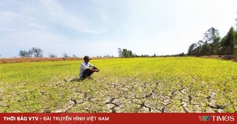 Xâm nhập mặn miền Tây tăng cao đầu tuần tới