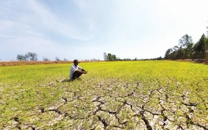 Xâm nhập mặn miền Tây tăng cao đầu tuần tới Xâm nhập mặn miền Tây tăng cao đầu tuần tới