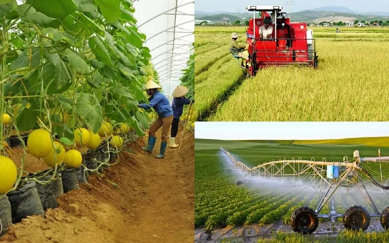 Xây dựng dự án sửa đổi 10 luật về thủ tục hành chính lĩnh vực nông nghiệp, môi trường theo thủ tục rút gọn Xây dựng dự án sửa đổi 10 luật về thủ tục hành chính lĩnh vực nông nghiệp, môi trường theo thủ tục rút gọn
