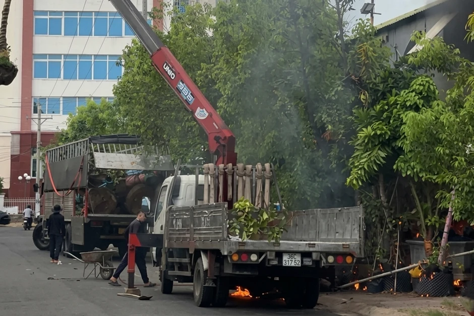 Xe cẩu cây xanh vướng dây điện, một nam thanh niên đứng gần bị tử vong Xe cẩu cây xanh vướng dây điện, một nam thanh niên đứng gần bị tử vong