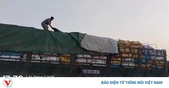 Xe chở quá khổ trên cao tốc Phan Thiết - Vĩnh Hảo bị xử phạt hơn 40 triệu đồng