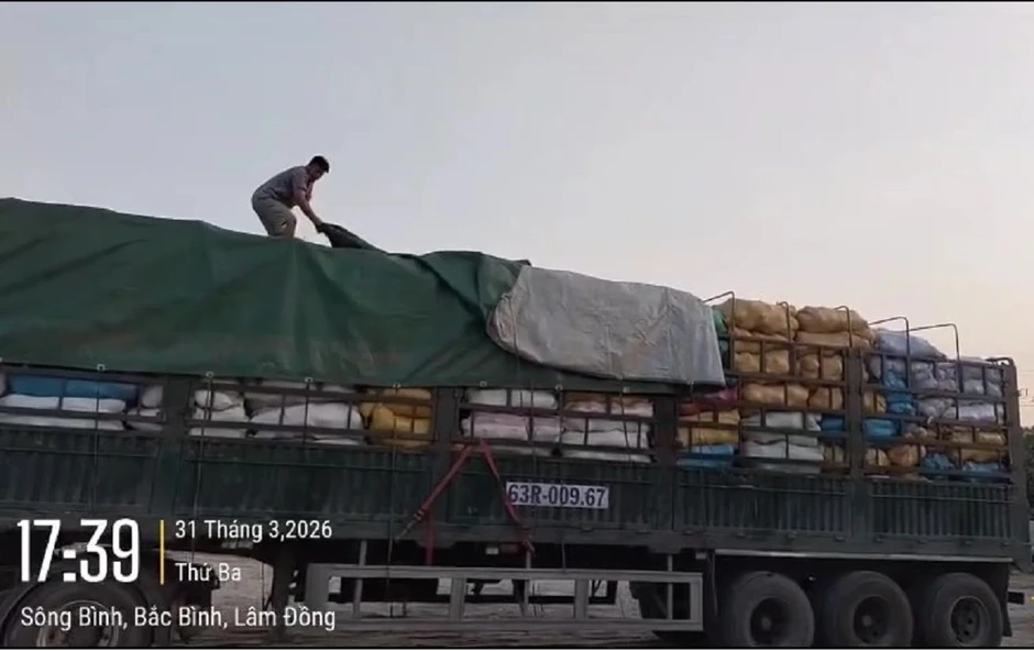 Xe chở quá khổ trên cao tốc Phan Thiết - Vĩnh Hảo bị xử phạt hơn 40 triệu đồng Xe chở quá khổ trên cao tốc Phan Thiết - Vĩnh Hảo bị xử phạt hơn 40 triệu đồng