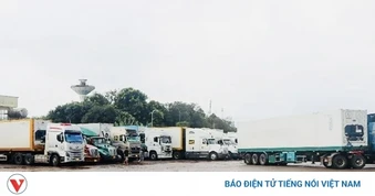 Xe container chở sầu riêng ùn ứ ở Dầu Giây: Chính quyền khẩn cấp giải tỏa