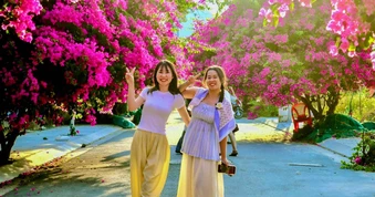 Xí chỗ để được check-in con đường hoa giấy tuyệt đẹp ở Nha Trang