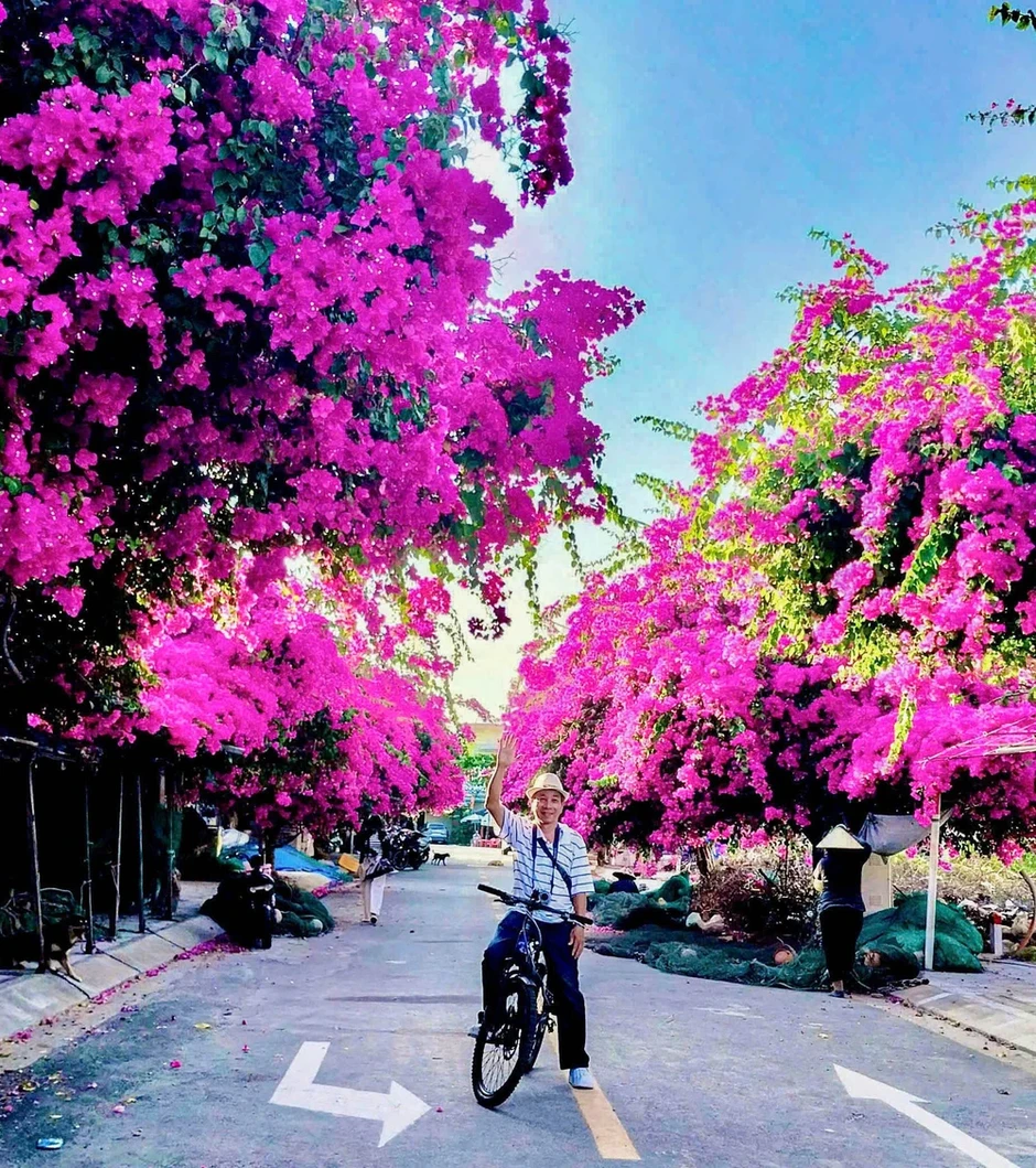 Xí chỗ để được check-in con đường hoa giấy tuyệt đẹp ở Nha Trang Xí chỗ để được check-in con đường hoa giấy tuyệt đẹp ở Nha Trang