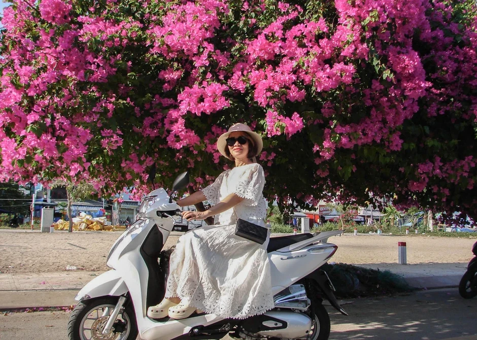 Xí chỗ để được check-in con đường hoa giấy tuyệt đẹp ở Nha Trang Xí chỗ để được check-in con đường hoa giấy tuyệt đẹp ở Nha Trang