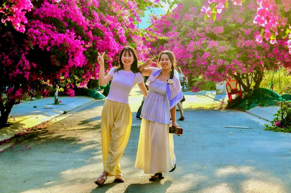 Xí chỗ để được check-in con đường hoa giấy tuyệt đẹp ở Nha Trang Xí chỗ để được check-in con đường hoa giấy tuyệt đẹp ở Nha Trang