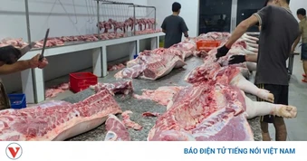 Xử lý 4 cơ sở giết mổ động vật trái phép tại Đồng Tháp