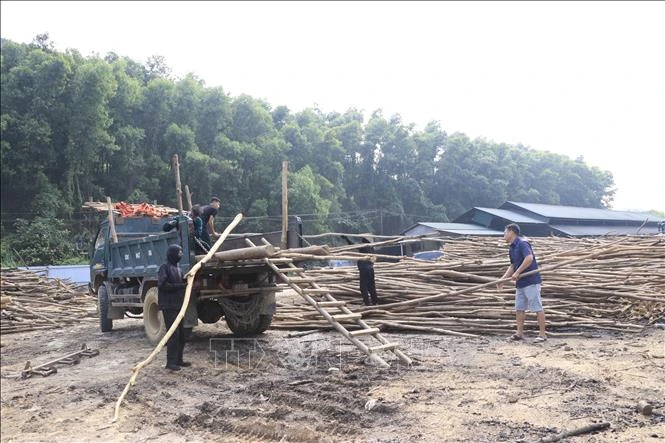Xử lý các cơ sở sản xuất trái phép, gây ảnh hưởng tới đời sống người dân ở Lào Cai Xử lý các cơ sở sản xuất trái phép, gây ảnh hưởng tới đời sống người dân ở Lào Cai