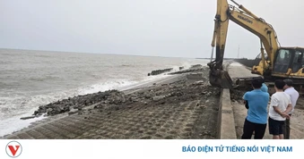 Xử lý khẩn cấp sự cố mái kè biển Hải Thịnh 3