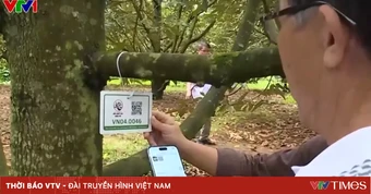 Xử lý nghiêm gian lận mã số vùng trồng, cơ sở đóng gói