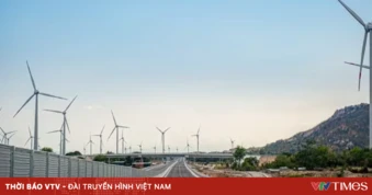Xử lý nghiêm hành vi cắt trộm cáp trên cao tốc Bắc - Nam