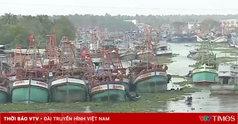 Xử lý nghiêm vi phạm IUU để chống khai thác hải sản bất hợp pháp