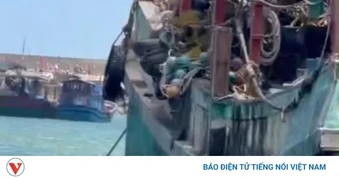 Xử phạt 4 triệu đồng với ngư dân xả rác xuống biển tại đặc khu Cô Tô, Quảng Ninh
