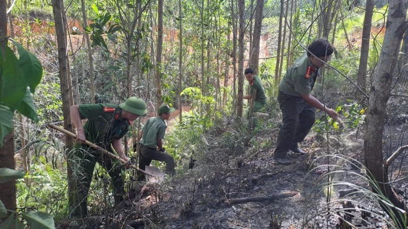 Xử phạt hành vi đốt thực bì "chui" giữa cao điểm nắng nóng, suýt gây cháy rừng Xử phạt hành vi đốt thực bì "chui" giữa cao điểm nắng nóng, suýt gây cháy rừng