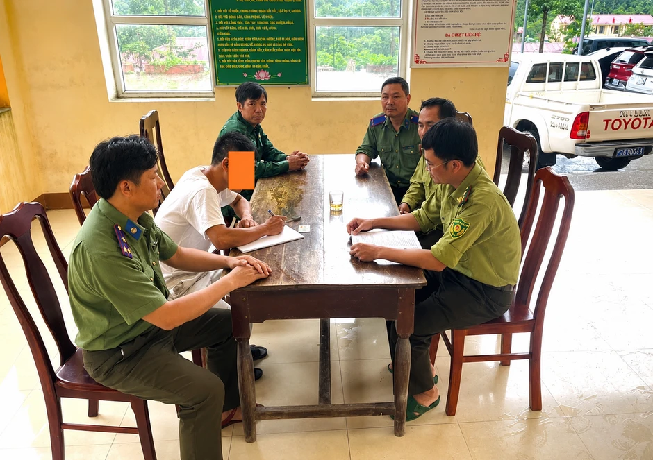 Xử phạt tài xế vận chuyển, mua bán lợn rừng Xử phạt tài xế vận chuyển, mua bán lợn rừng