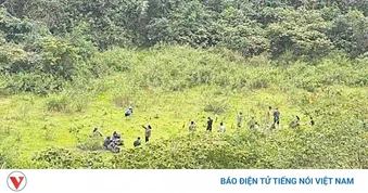 Xuyên rừng tìm kiếm người đàn ông mất tích ở Nghệ An
