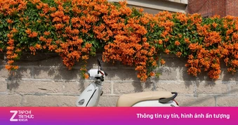 Thời của xe máy điện - xe mới liên tiếp ra mắt khách Việt