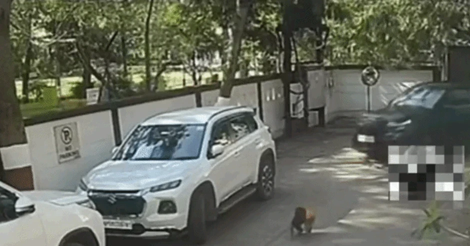 Bé trai sống sót kỳ diệu, đứng dậy ngay sau khi bị ô tô cán qua người Bé trai sống sót kỳ diệu, đứng dậy ngay sau khi bị ô tô cán qua người