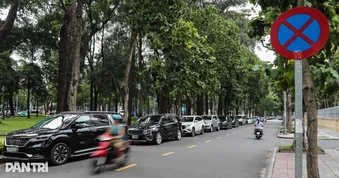 Có được dừng, đỗ xe trước vị trí cắm biển cấm không?