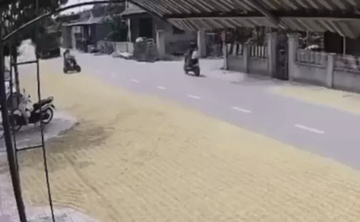 Cục CSGT cảnh báo việc phơi thóc lúa trên đường sau vụ tai nạn làm 2 người chết