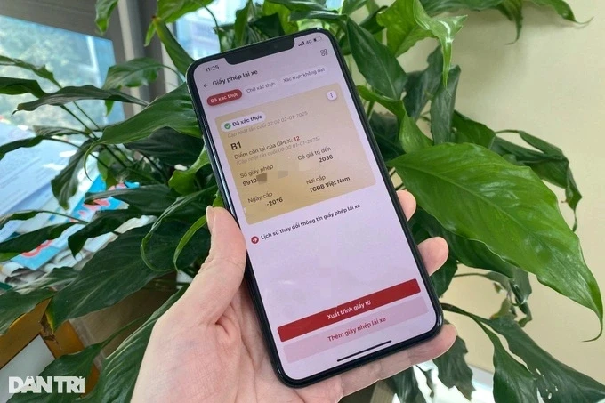 Giấy phép lái xe quá hạn dưới 30 ngày không phải thi lại lý thuyết Giấy phép lái xe quá hạn dưới 30 ngày không phải thi lại lý thuyết