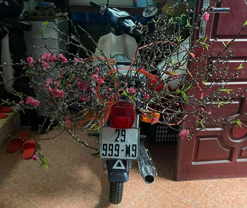 Honda Cub 82 biển 3 số huyền thoại được trả 150 triệu, chủ xe Hà Nội từ chối bán Honda Cub 82 biển 3 số huyền thoại được trả 150 triệu, chủ xe Hà Nội từ chối bán