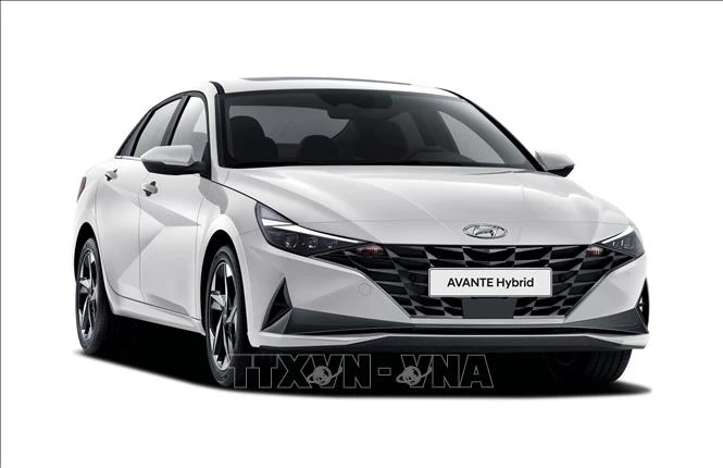 Hyundai sắp trở lại thị trường Algeria Hyundai sắp trở lại thị trường Algeria