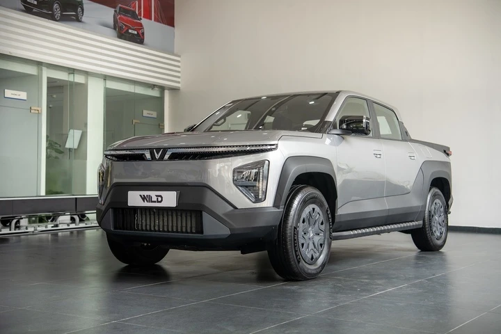 Lý do khách hàng Việt đua nhau chốt cọc sớm VF Wild Lý do khách hàng Việt đua nhau chốt cọc sớm VF Wild