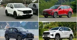 Những mẫu xe hybrid được người dùng Việt ưa chuộng nhất