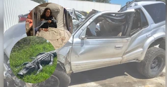 Xe bị lật nhiều vòng vì tông phải cá sấu, nữ tài xế thoát chết thần kỳ